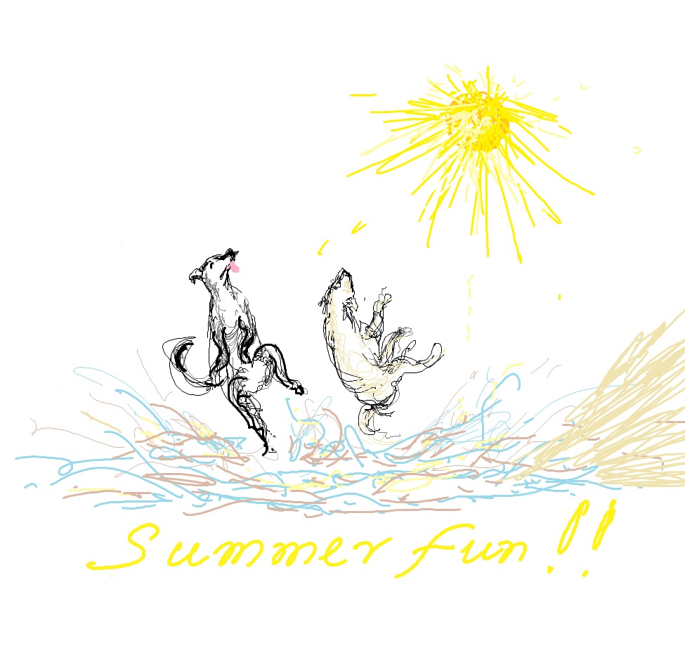 summerfunkimona